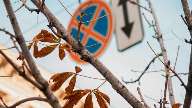 В Киеве побит первый температурный рекорд ноября