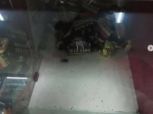 Посетителей запорожского супермаркета шокировала «живность» в отделе сладостей