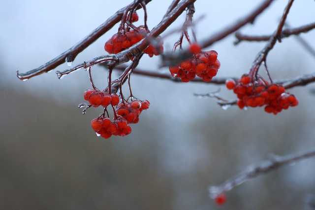 Весняне тепло: синоптики уточнили прогноз погоди в Україні
