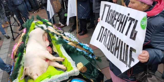 Аграрії під Верховною Радою проводять в “останню путь” свиню