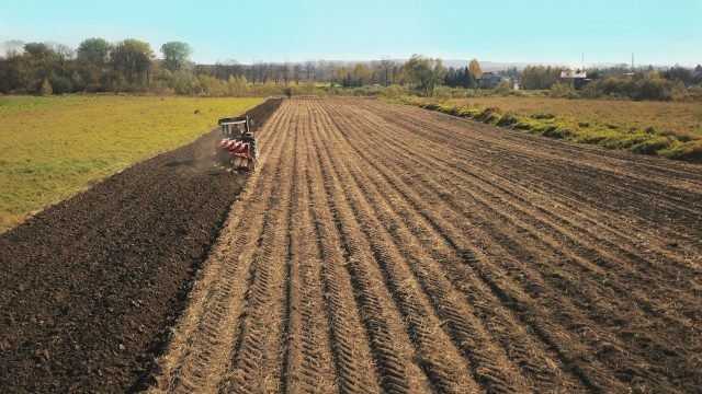 Романенко: Сумасшедшие бабки против рынка земли