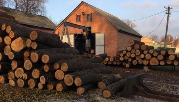 Лісництво в Харківській області підозрюють у розтраті на 100 мільйонів