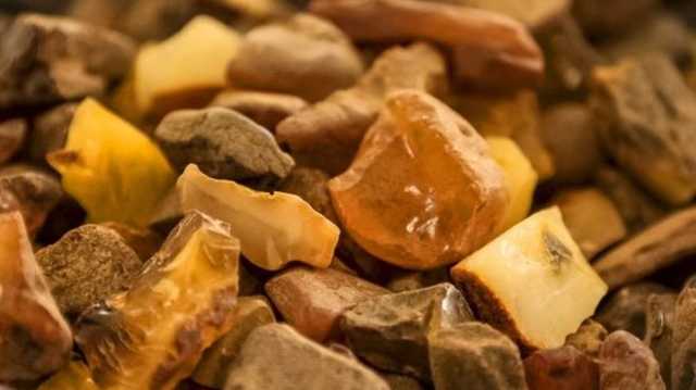 У Словаччині поліцейські зловили кілька машин з 700 кг українського бурштину