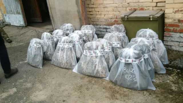 Некачественные бронежилеты: Стали известны результаты новых испытаний