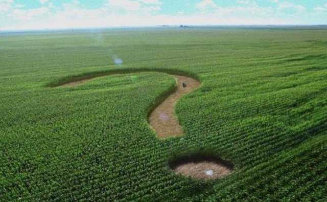 Открытие рынка земли не поддерживает 59% украинцев – опрос