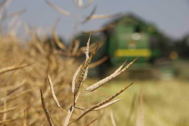 Милованов заявил о рекордном урожае зерновых в Украине