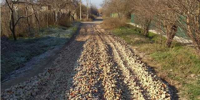 В Одеській області дорогу залатали мушлями від рапанів