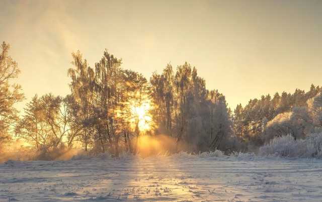 В Украину придет потепление: синоптики порадовали прогнозом погоды на неделю