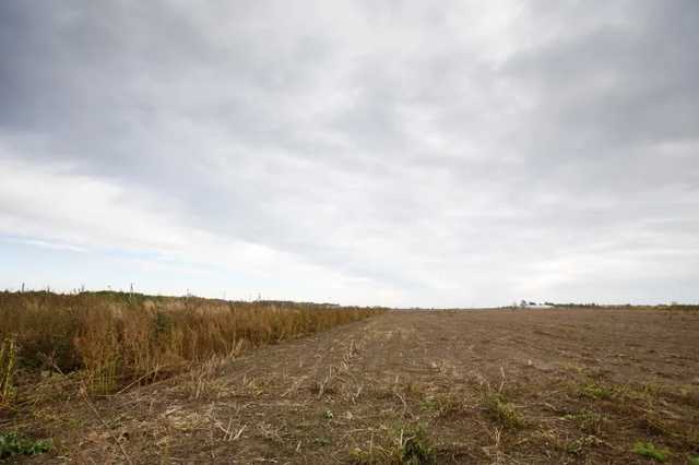 В Тернопольской области нашли тело пропавшего 15-летнего парня