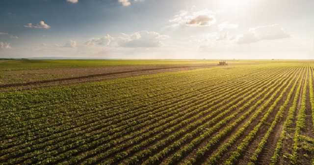 Председатель поселка в Кировоградской области раздавал земли за взятку