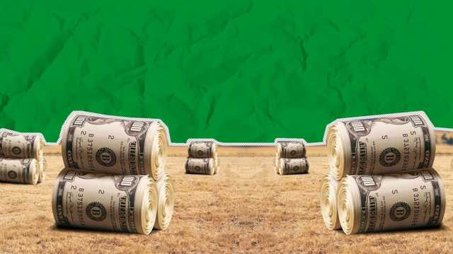 Когда Рада будет голосовать за закон по рынку земли: названы сроки