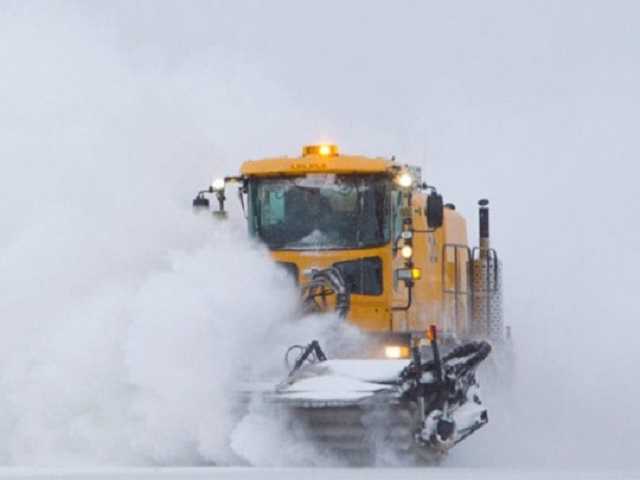 В Киев везут 30 тонн снега: опубликовано видео