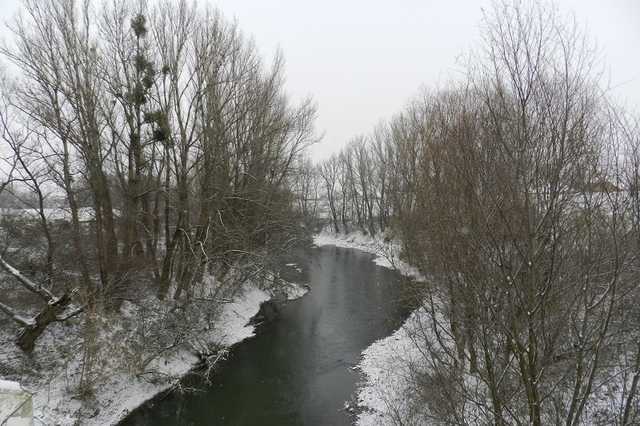ДСНС попередила про підйом рівня води в річках Закарпаття