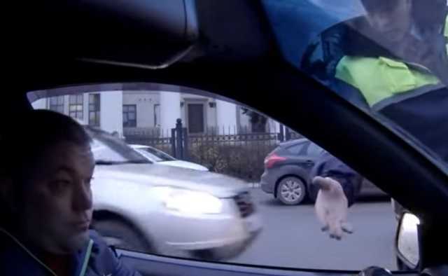 Украинских водителей ожидают громадные штрафы