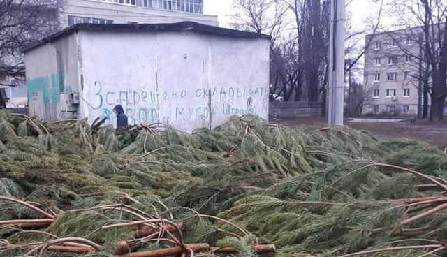 У Харкові торговці покинули на вулицях сотні непроданих ялинок