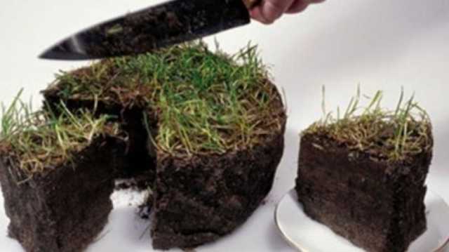 Одесский нотариус украл участок земли