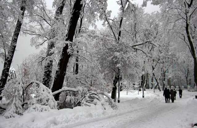 У мережі обурилися фотографіями “реставрації” Маріїнського палацу і парку в Києві