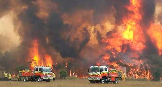Из-за лесных пожаров в Австралии погибли полмиллиарда животных