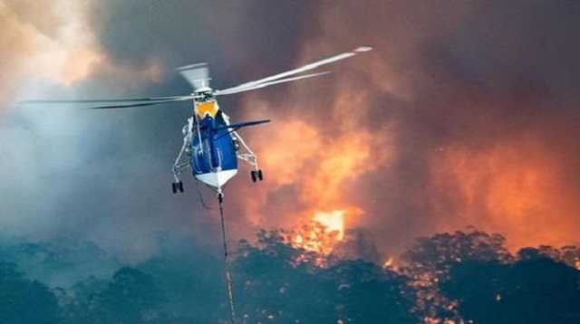 Пожары в Австралии: Украина выразила готовность помочь