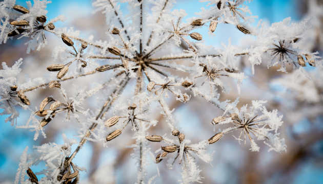 Синоптики сообщили, где в Украине ударят морозы сразу после Рождества