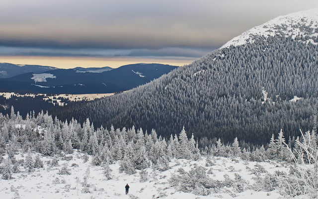 Синоптики знову попередили про сніголавинну небезпеку в Карпатах
