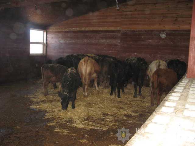 Владелец мини-зоопарка под Киевом морил голодом около сорока животных