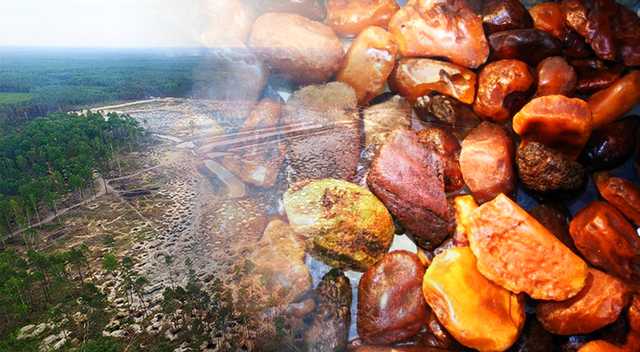 Нове бурштинове “полювання”: на Житомирщині незаконно роздають спецдозволи копачам