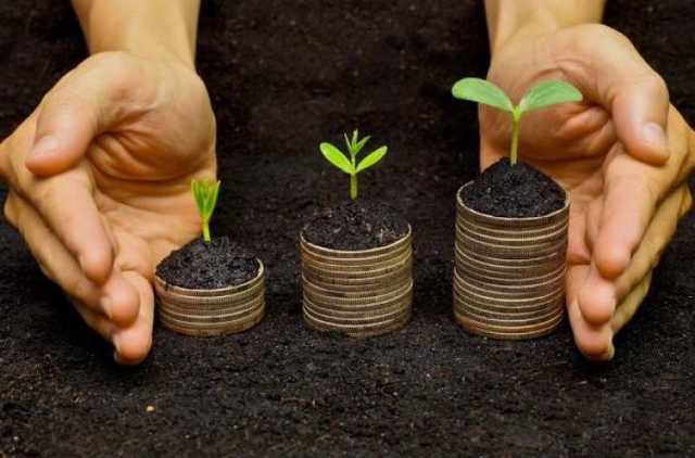 Стала известна примерная стоимость одного гектара земли в Украине