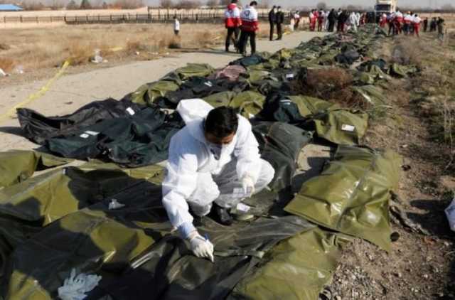 В МАУ рассказали, когда в «Борисполь» доставят тела погибших украинцев