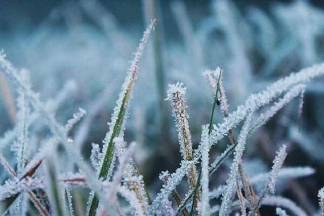 Ударят сильные морозы: синоптик дал пугающий прогноз на весну-2020 в Украине