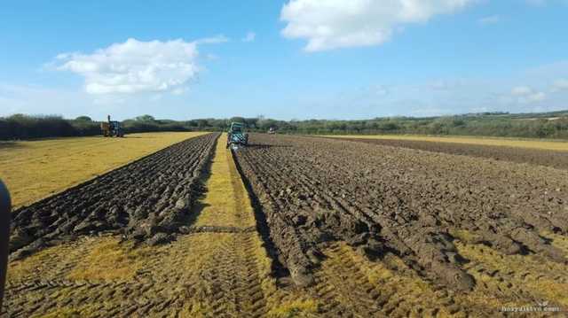 Каждый десятый гектар украинской с/х земли находится в тени
