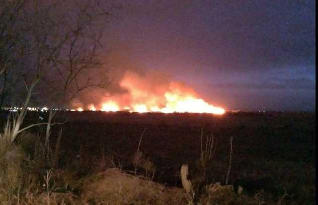 В Одеській області горять плавні: рятувальники не можуть загасити вогонь