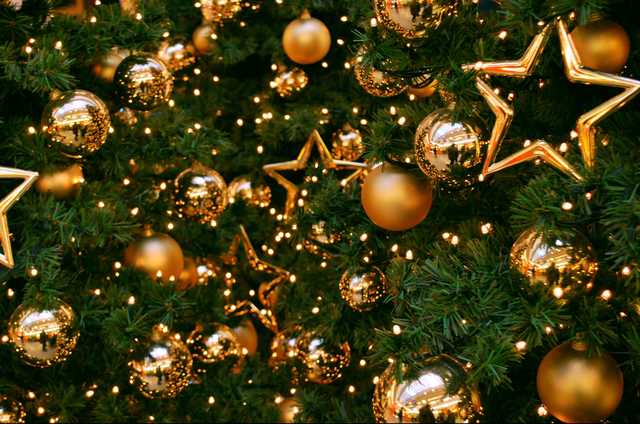 Кияни здали на утилізацію понад 11 тисяч новорічних ялинок