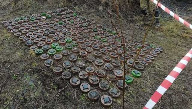Група розмінування на Донбасі знайшла ціле поле “чорних вдів”
