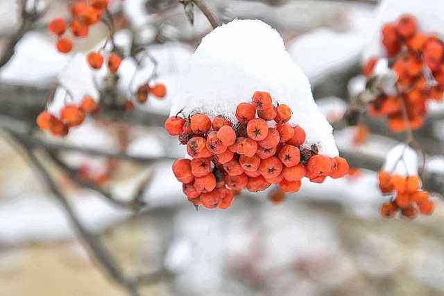 На Украину надвигается буря со шквалами и дождем: прогноз на 1 февраля