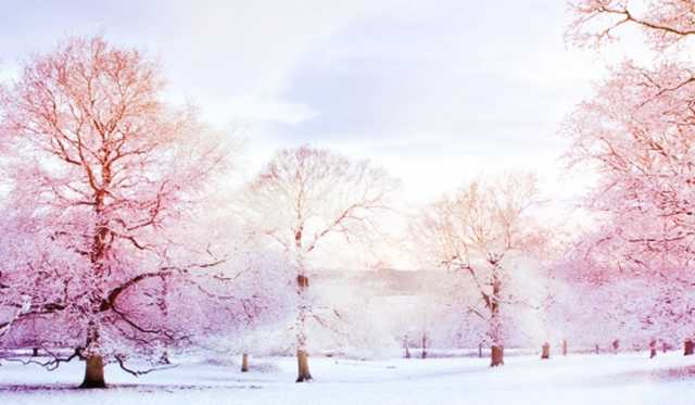 До -34: синоптики рассказали об опасной погоде в феврале в Украине