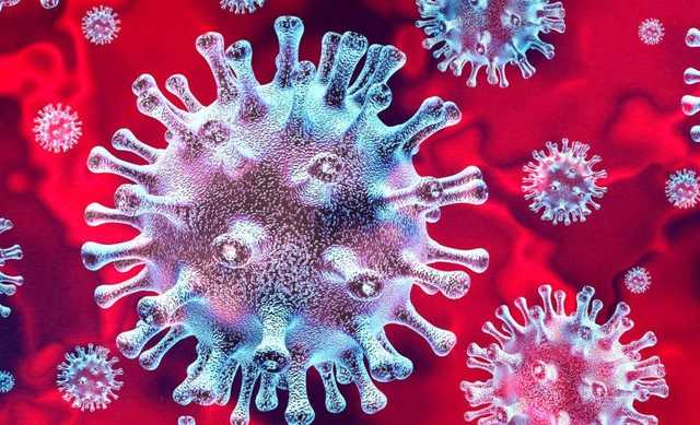 Размножение китайского коронавируса: ученые показали знаковое фото