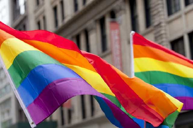 На ЛГБТ-тренинге в Виннице журналистов облили маслом и засыпали перьями