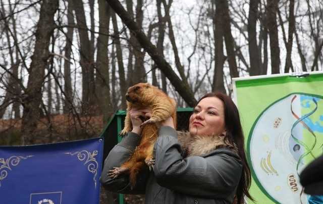 Зимы уже не будет? Сурок Тимка предсказал прогноз погоды в Украине