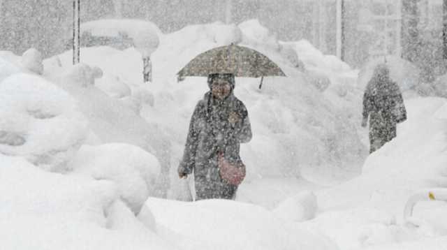 Прикарпатье завалило 1,2 м снега: детали апокалипсиса