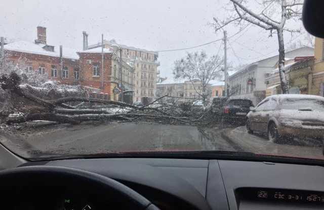 Падают деревья, застревают авто: фото и видео последствий мощной непогоды в Украине