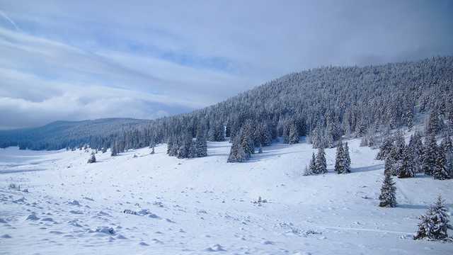 ДСНС попереджає про "значну сніголавинну небезпеку" в Карпатах