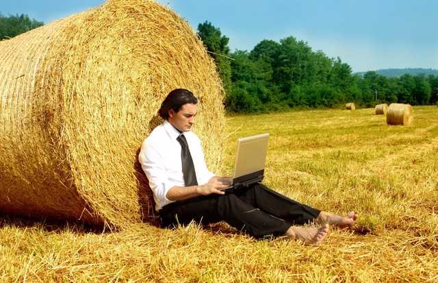 Милованов назвал IT и агросектор единственными успешными сферами в Украине