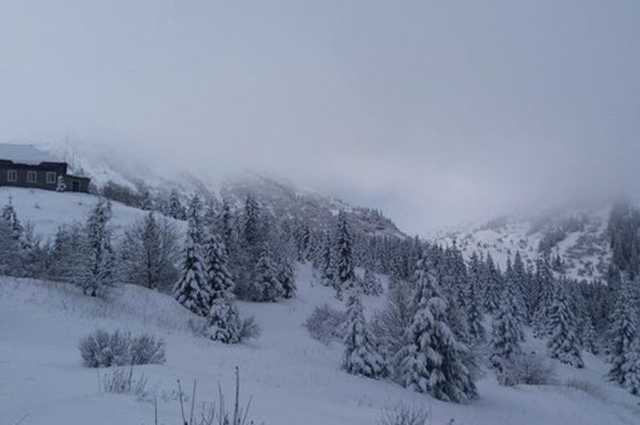 Карпаты заснежило: высота покрова местами достигает 133 см