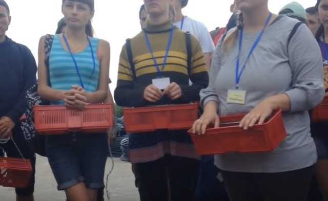 Названы страны, откуда заробитчане перевели в Украину миллиарды