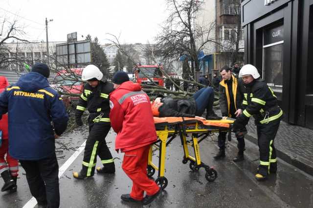 У Кропивницькому через негоду на жінку впало дерево