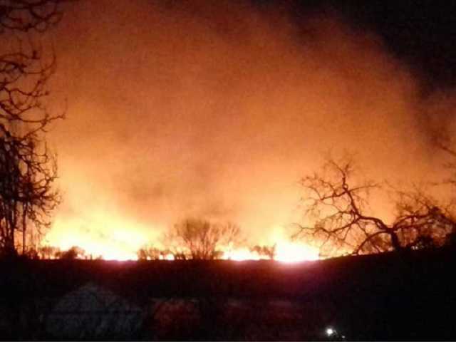 Пожар под Одессой: горит национальный природный парк