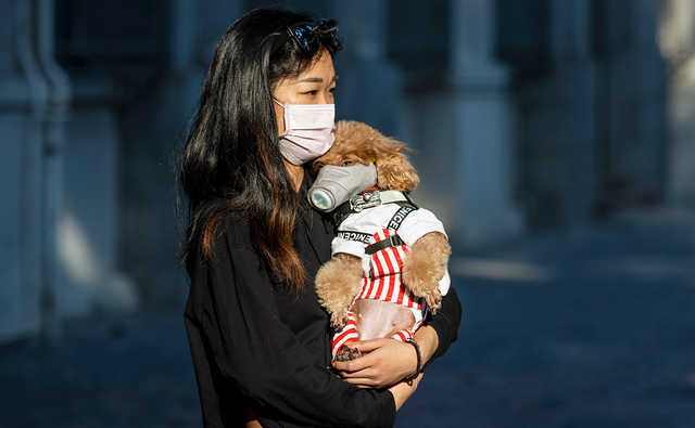 Із лікарень виписали понад 27 тисяч осіб, які перехворіли на коронавірус