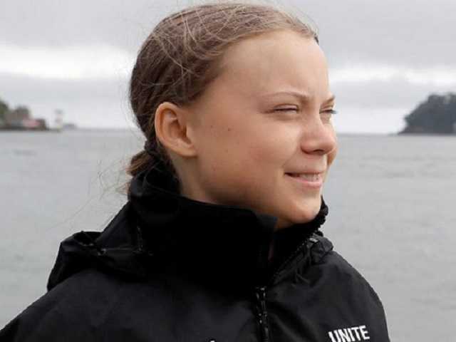 В "Украинском Кибер Альянсе" подтвердили связь обысков с Гретой Тунберг