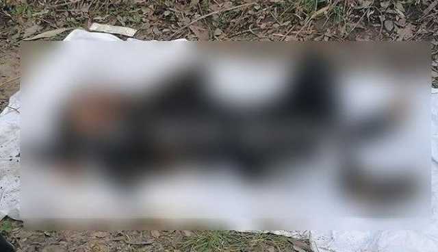 Перерезали горло и пытались сжечь: в Харькове произошло жуткое убийство молодой женщины